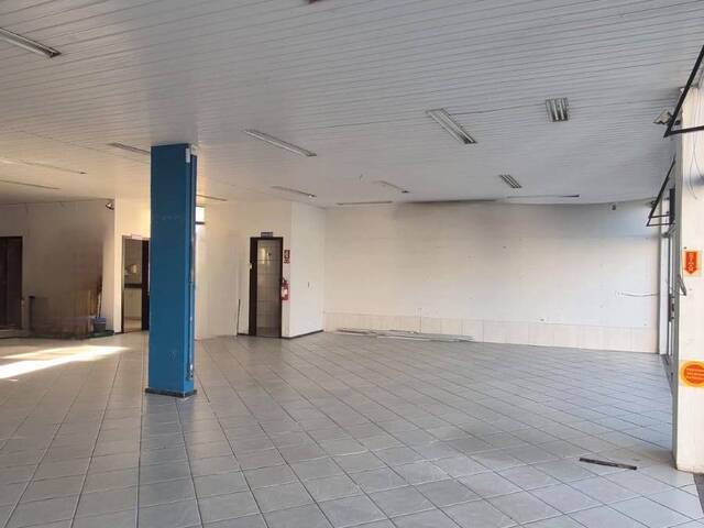 Sala para Locação em Brusque - 5